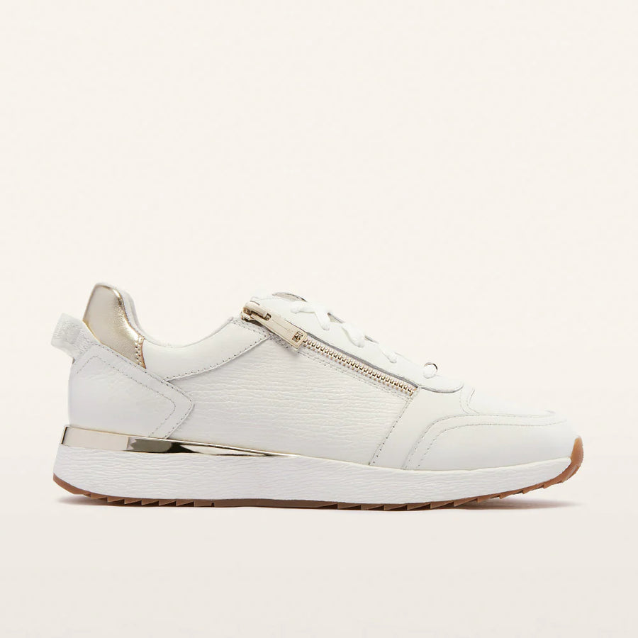 FRANKIE4	II BROOKLYN III - White/Gold