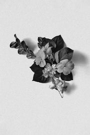 B O R . D A N // No.108 ROSE GERANIUM Candle