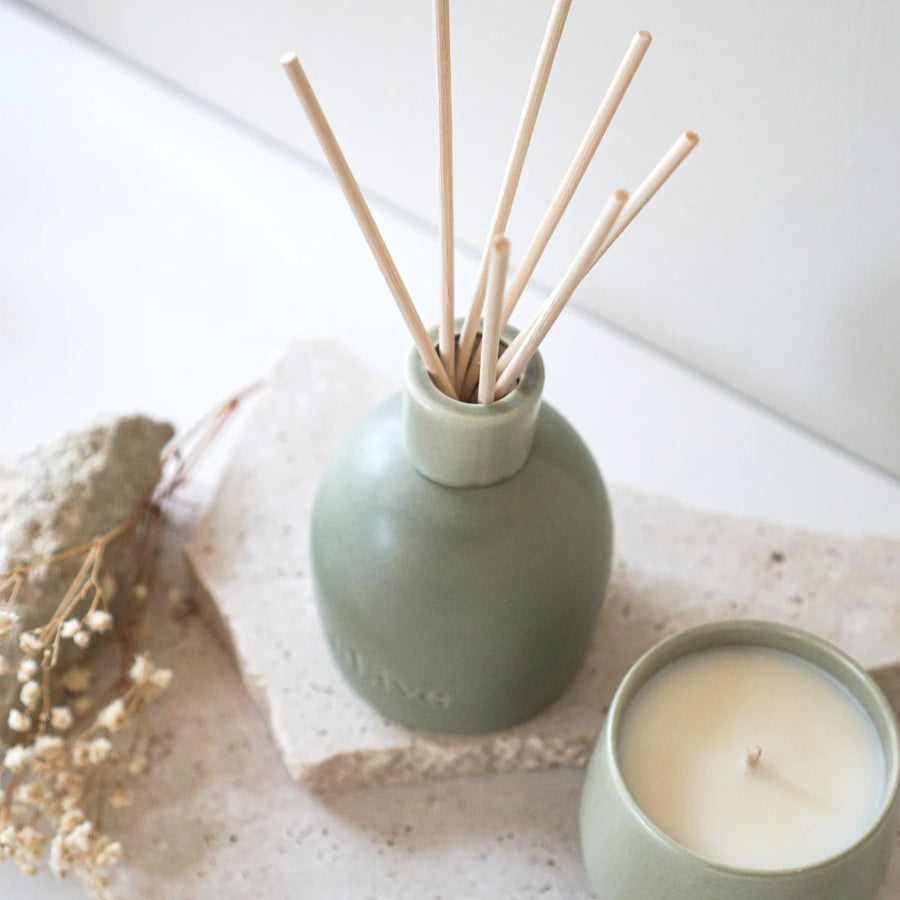al.ive  II BLACKCURRENT & CARIBBEAN Wood Diffuser