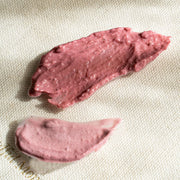 Stray Willow II A Little Something Sweet Muse