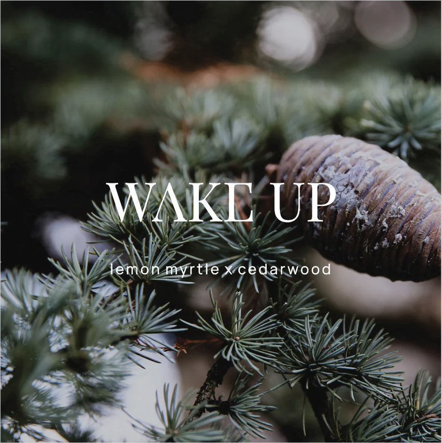 WILD EMERY II WAKE UP Shower Steamer