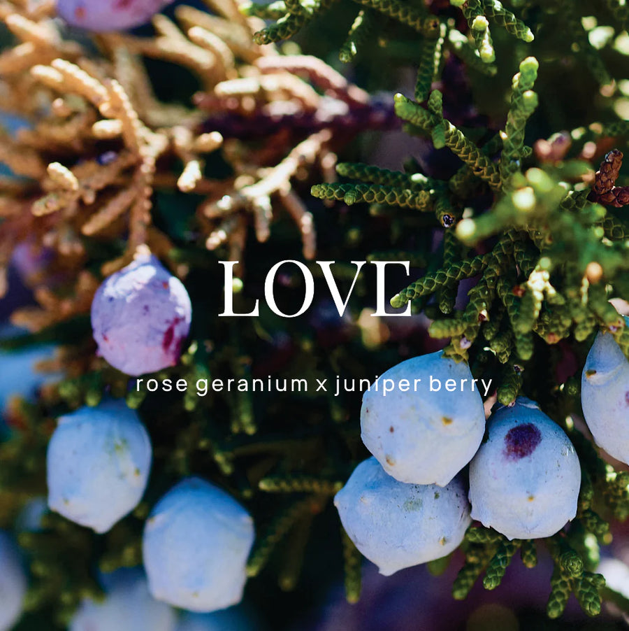 WILD EMERY II LOVE Shower Steamer