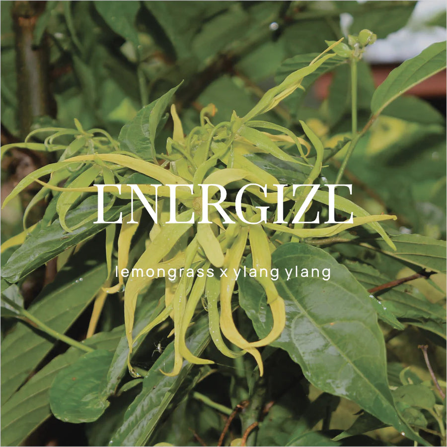 WILD EMERY II ENERGIZE Shower Steamer