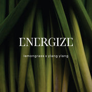 WILD EMERY II ENERGIZE Shower Steamer