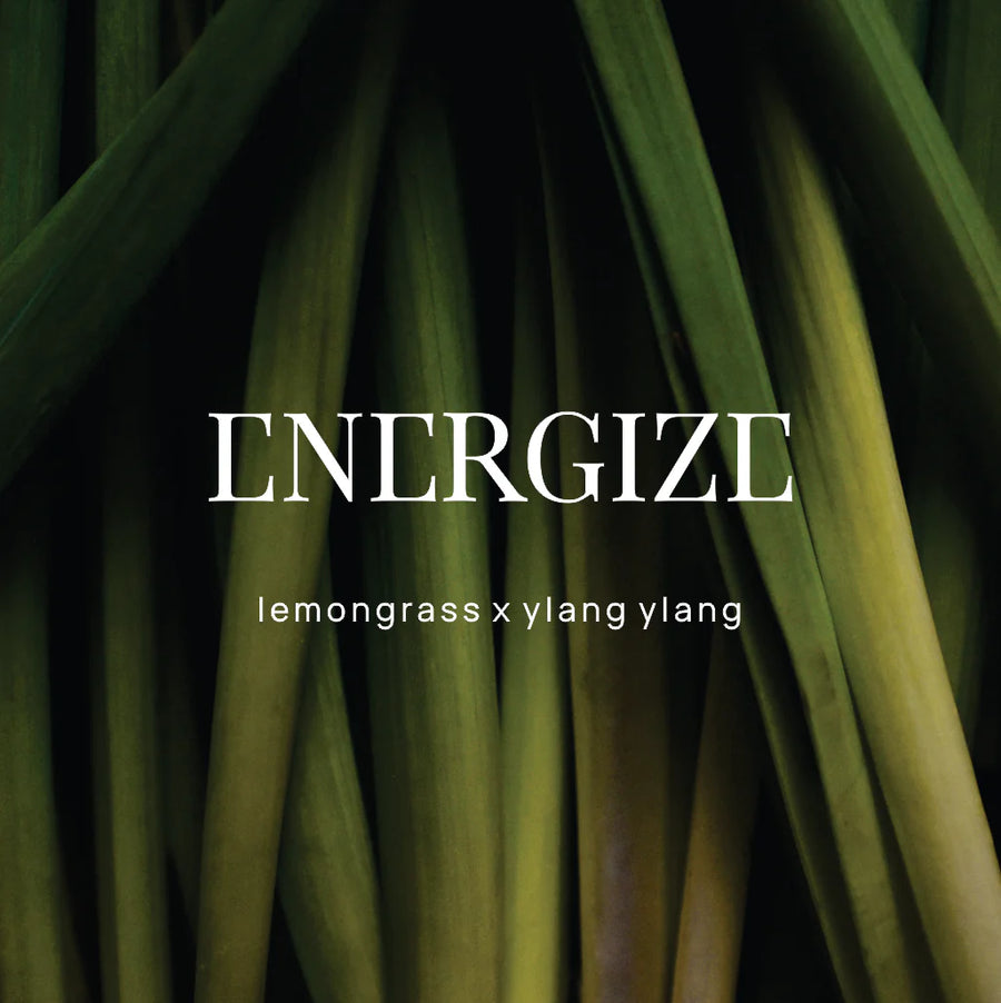 WILD EMERY II ENERGIZE Shower Steamer