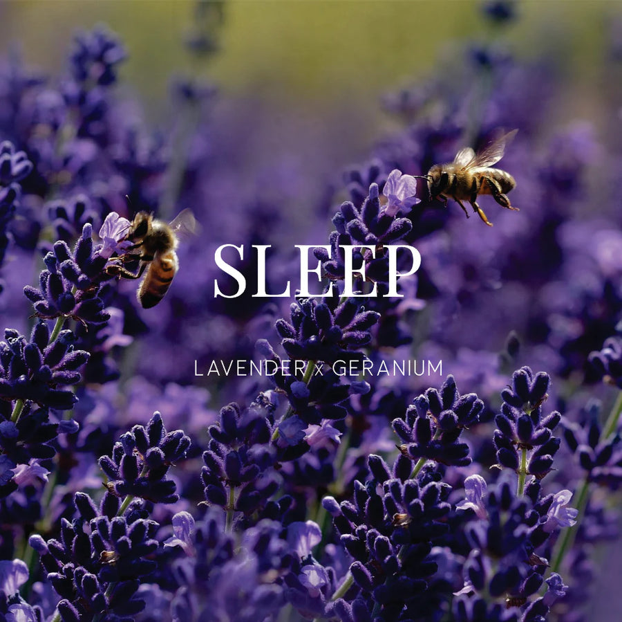 WILD EMERY II SLEEP Shower Steamer