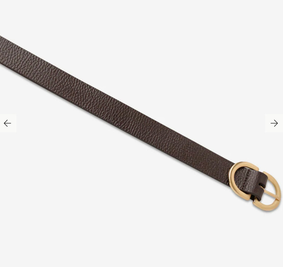 Status Anxiety II IN REVERSE Belt - chocolate/gold