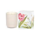 Candle Boxed - White Florals & French Pear