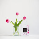 The Nurture Trio Set